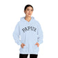Unisex Hooded Sweatshirt Cozy PAPUX - La Mejor Comodidad y Estilo